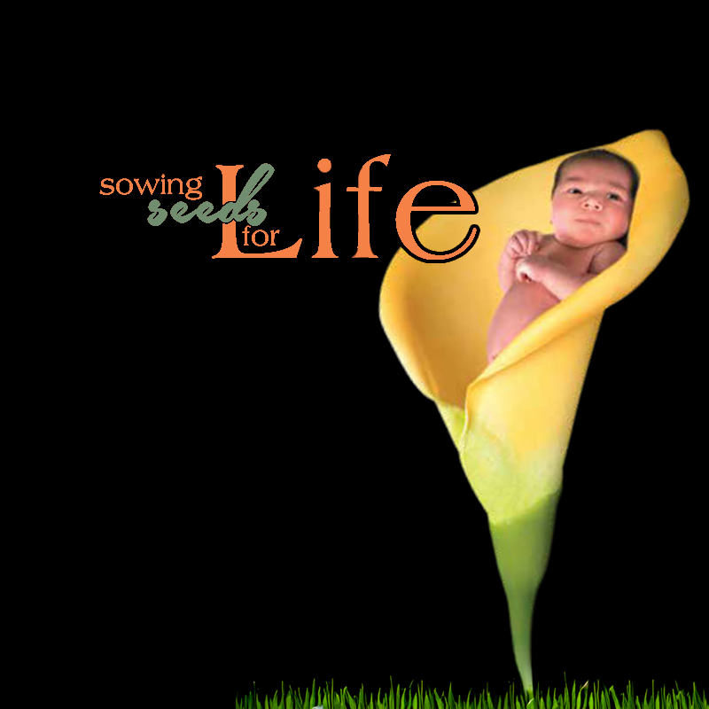 Child in a hot air baloon